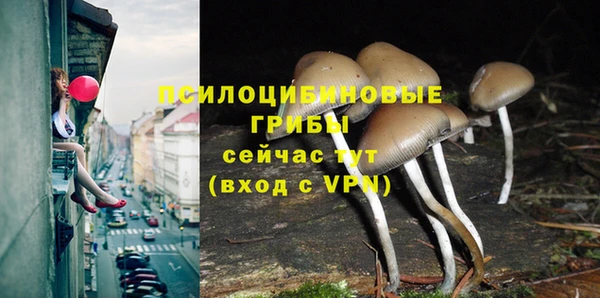 первитин Пролетарск