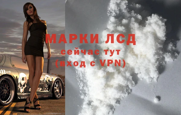 ПСИЛОЦИБИНОВЫЕ ГРИБЫ Баксан