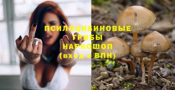 прущие крисы Балабаново